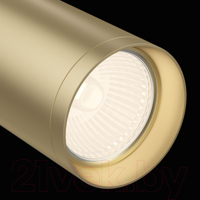 Потолочный светильник Maytoni Focus C018CL-01MG