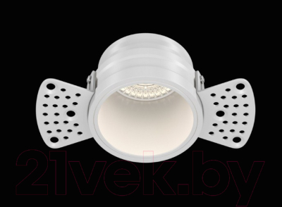 Точечный светильник Maytoni Reif DL048-01W