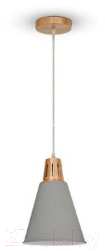 Потолочный светильник V-TAC SKU-3701 - фото