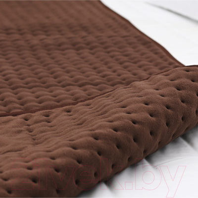 Электроодеяло EcoSapiens Teddy S282