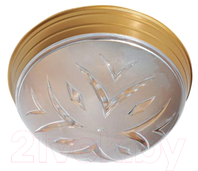 Потолочный светильник TDM SQ0328-0029 - фото