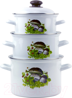 Набор кастрюль Лысьвенские эмали Грибная поляна С-007АП2/4 - фото