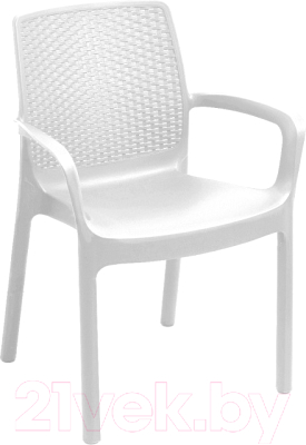 Стул пластиковый Ipae Progarden Regina / REG16CBI - фото