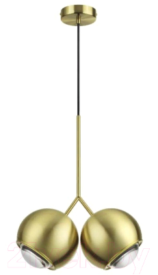 Потолочный светильник Odeon Light Mia 4227/12LA - фото