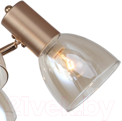 Люстра F-Promo F-Promo 2660-6U