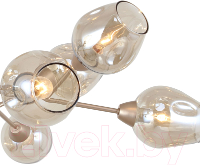 Люстра F-Promo F-Promo 2658-10U