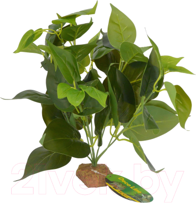 Декорация для террариума Lucky Reptile Golden Pothos / IF-33 - фото