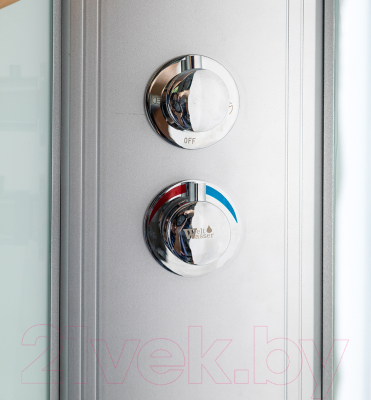 Душевая кабина WeltWasser WW500 Emmer 170/85/55