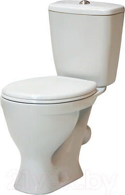 Унитаз напольный Sanita Эталон Эконом ETLSACC01090113 - фото