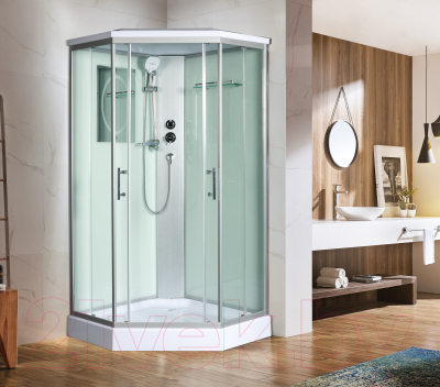 Душевая кабина WeltWasser WW500 Nesse 1002