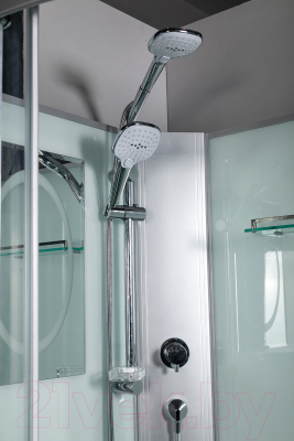 Душевая кабина WeltWasser WW500 Werra 901