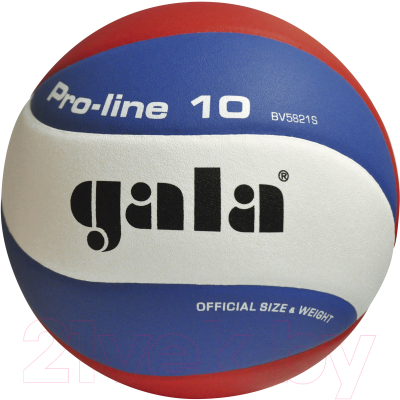 Мяч волейбольный Gala Sport Pro Line 10 / BV 5821 S CZ - фото