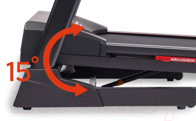 Электрическая беговая дорожка Titanium Masters Physiotech TGF