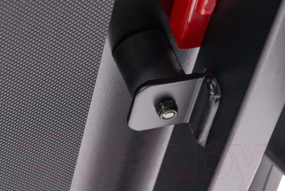 Электрическая беговая дорожка Titanium Masters Physiotech TJF