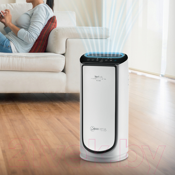 Очиститель воздуха Tefal Pure Air PU6086F0