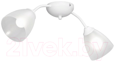 Потолочный светильник Vitaluce V3737-0/2PL - фото