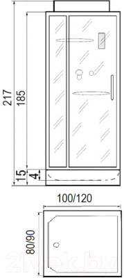 Душевая кабина RIVER Tana 100/80