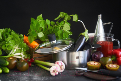 Кастрюля Нева Металл Посуда Vivo КС247