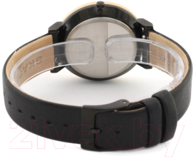 Часы наручные женские Skagen SKW2490