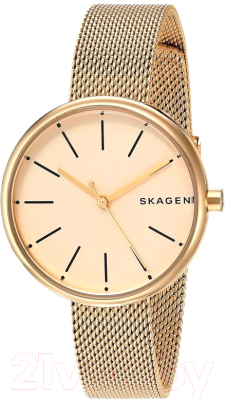 Часы наручные женские Skagen SKW2614 - фото