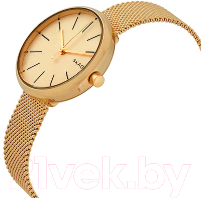 Часы наручные женские Skagen SKW2614