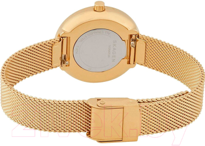 Часы наручные женские Skagen SKW2614