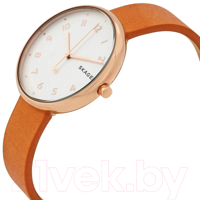 Часы наручные женские Skagen SKW2624