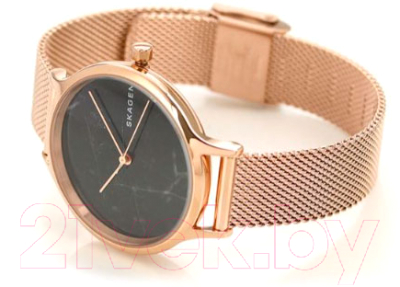 Часы наручные женские Skagen SKW2721