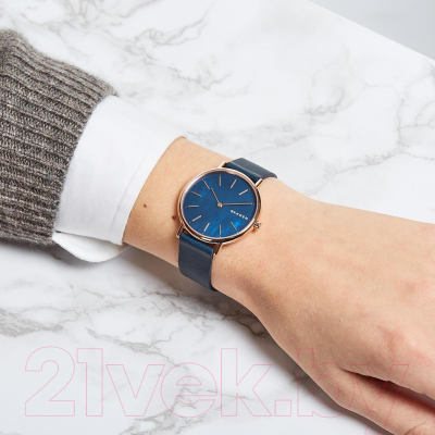 Часы наручные женские Skagen SKW2731