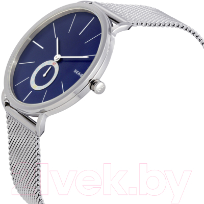 Часы наручные мужские Skagen SKW6230