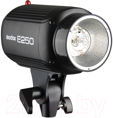 Вспышка студийная Godox E250 / 26276