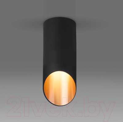 Точечный светильник Elektrostandard DLN114 GU10 (черный/золото) - фото