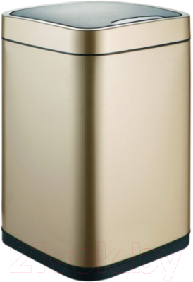 Сенсорное мусорное ведро WeltWasser Rone CG 9L - фото