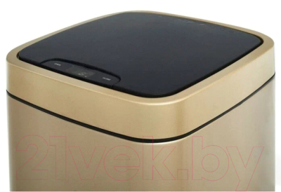 Сенсорное мусорное ведро WeltWasser Rone CG 9L