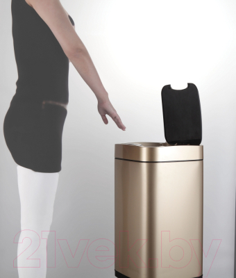 Сенсорное мусорное ведро WeltWasser Rone CG 28L