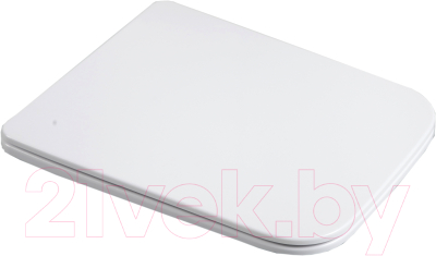 Сиденье для унитаза WeltWasser 010 GL-WT - фото