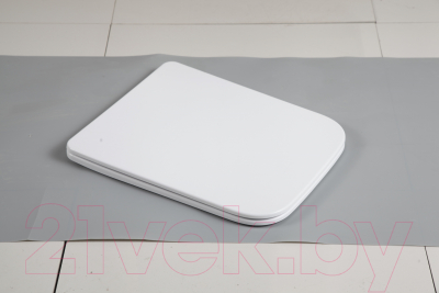 Сиденье для унитаза WeltWasser 010 GL-WT