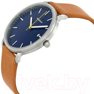Часы наручные мужские Skagen SKW6279