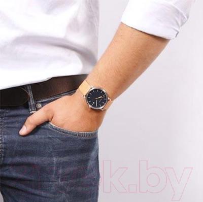 Часы наручные мужские Skagen SKW6279