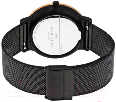 Часы наручные мужские Skagen SKW6296