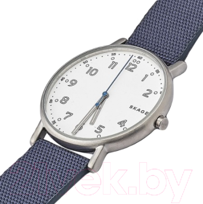 Часы наручные мужские Skagen SKW6356