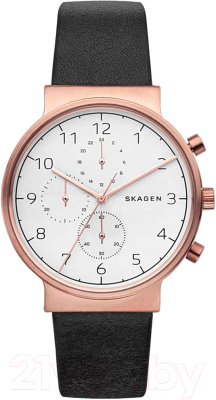 Часы наручные мужские Skagen SKW6371 - фото