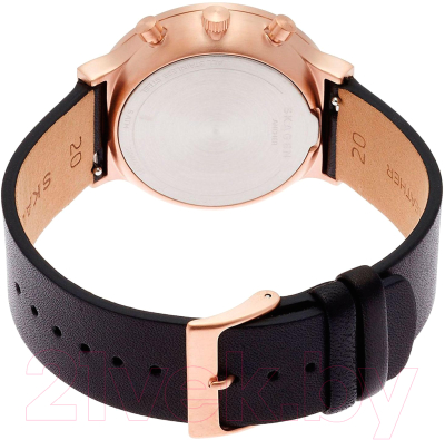 Часы наручные мужские Skagen SKW6371