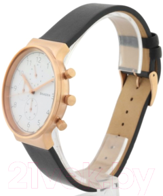 Часы наручные мужские Skagen SKW6371