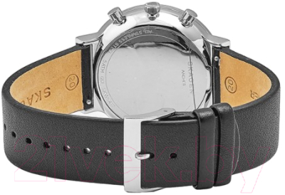 Часы наручные мужские Skagen SKW6417