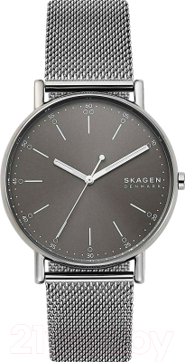 Часы наручные мужские Skagen SKW6577 - фото