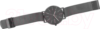 Часы наручные мужские Skagen SKW6577