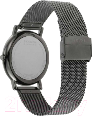 Часы наручные мужские Skagen SKW6577
