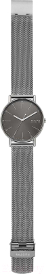 Часы наручные мужские Skagen SKW6577