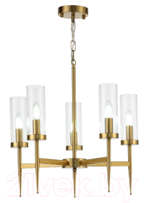 Люстра ST Luce Acazio SL1159.303.05 - фото